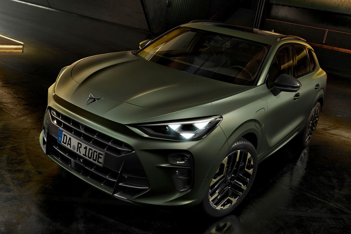 grune cupra terramar