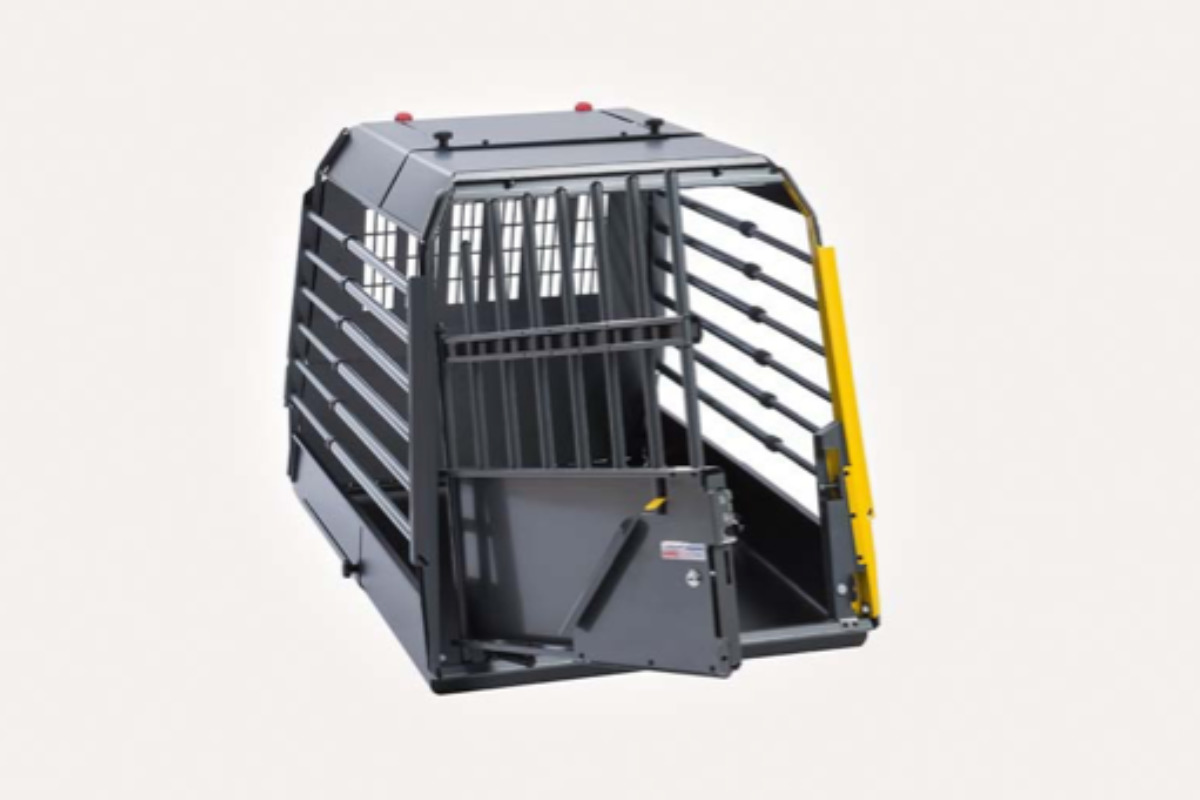 Transportbox