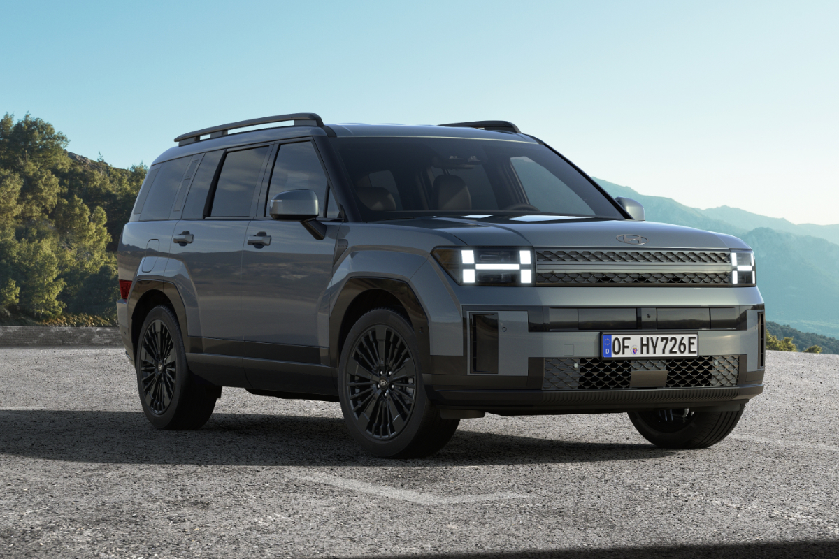 grauer Hyundai SANTA FE Plug-In-Hybrid vor einer Bergkulissev